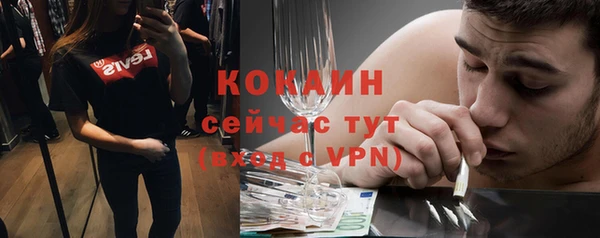 мет Ладушкин