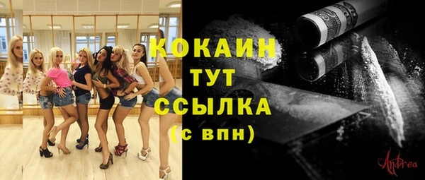 мет Ладушкин