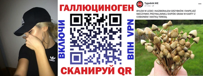 shop состав  Буй  Галлюциногенные грибы Cubensis  что такое наркотик 